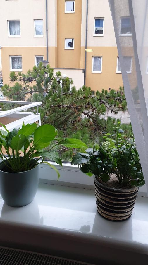 Apartmán Fajna Cavalera Reda Exteriér fotografie